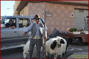 Los barrios de Telde, de romería: El Goro (Foto 1-66) y Caserío de Gando (Foto 67-97) (Reportaje gráfico TF)